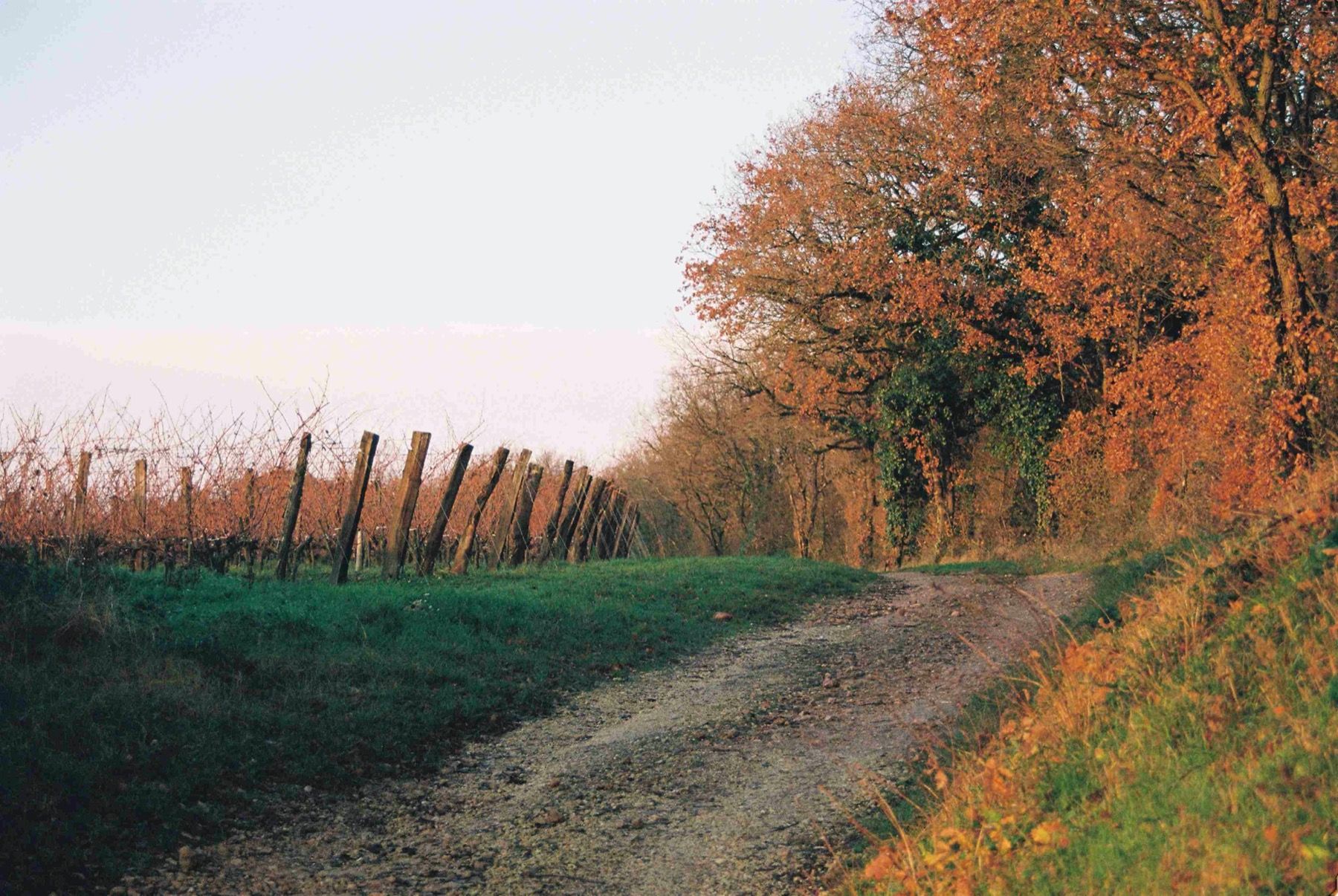 Domaine du Valbrun